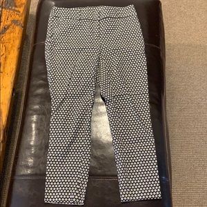 Ann Taylor LOFT Julie Skinny Pant Patterned
